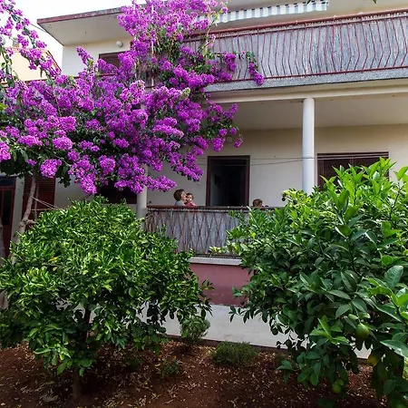 Apartman Borna Zadar Exterior photo
